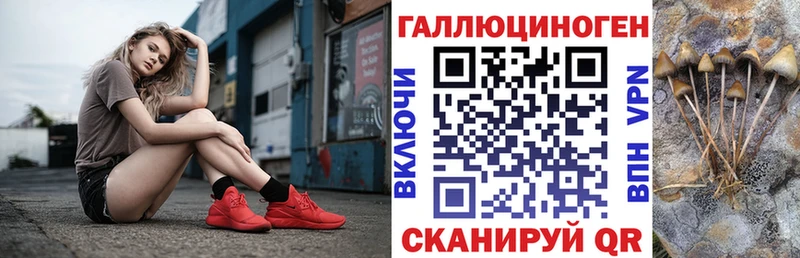 Купить где  Зверево  Галлюциногенные грибы MAGIC MUSHROOMS 